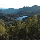 Gran Canaria - El bosque grancanario