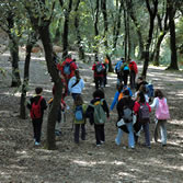 Montseny - Educación ambiental a escolares