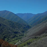 Muniellos - Vista Panorámica