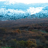 Sierra del Rincón - Mosaico de variados ecosistemas